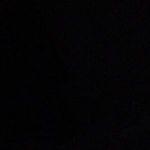 Meet your Posher, Lynne